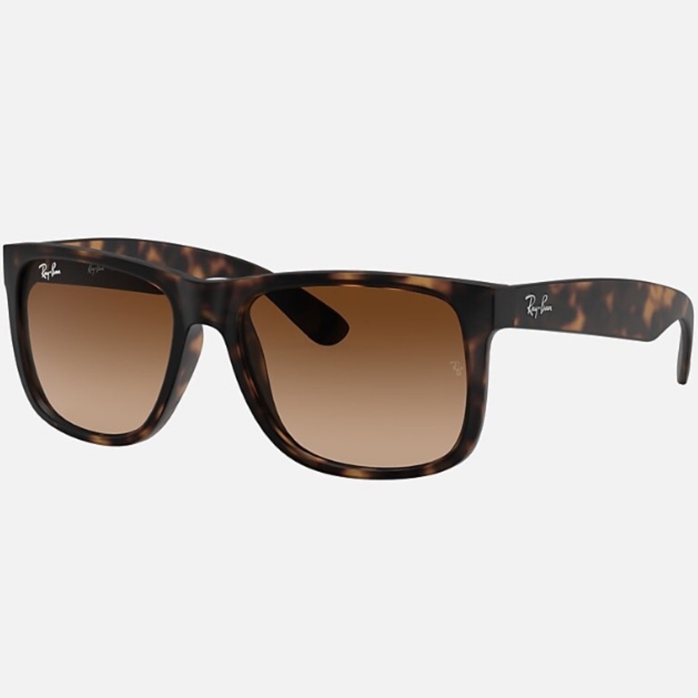 Ray-ban Sunglasses (Justin)